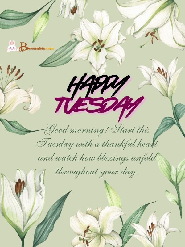 Thankful Tuesday Blessings